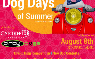 Sodalirious at Dog Days of Summer